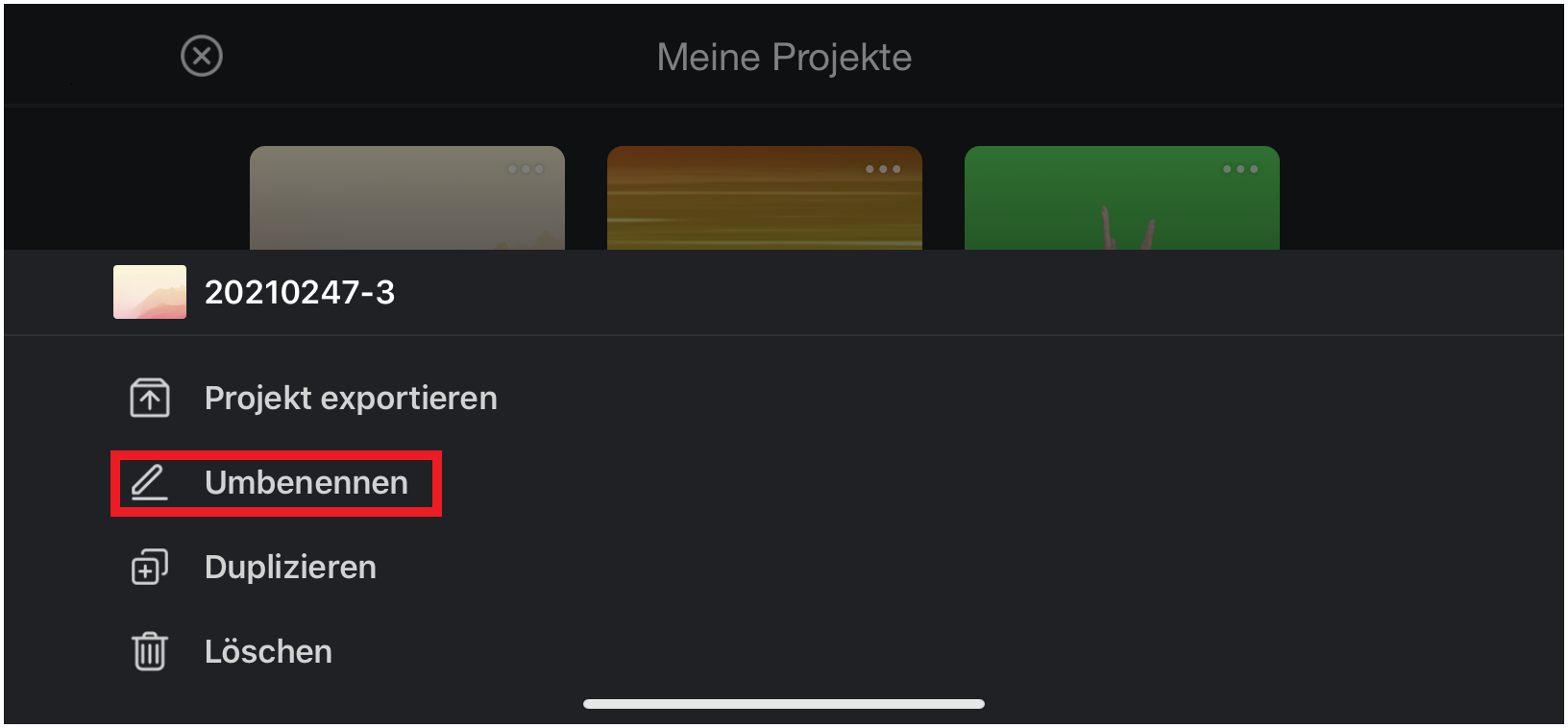Rename3(German)(1)_2.png